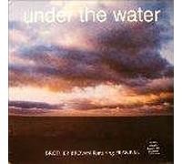 Brother Brown - Brother Brown - Under The Water - FFRR