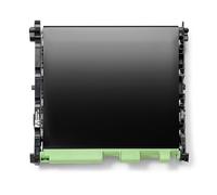 Brother Courroie de Transfert Originale f/MFC-L8970CDW, HL-L8570CDW, MFC-L8730CDW, HL-L8430CDW