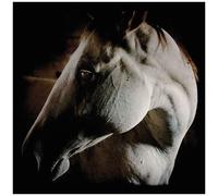 Brother Dege - How To Kill A Horse [Compact Discs] Digipack Packaging