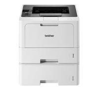 Brother HL-L5210DWT Imprimante Laser Noir et Blanc (A4, 48 ppm, 1200 x 1200 DPI, LAN, WLAN, Duplex, 250 + 520 Feuilles) Blanc/Gris