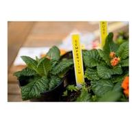 Brother M-K631BZ Ruban non plastifiée 9mm Noir sur Jaune 8m