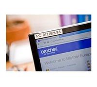 Brother TZe-231S - Noir sur blanc - Rouleau (1,2 cm x 4 m) 1 cassette(s) ruban laminé - pour Brother PT-D210, D600, H110, H200; P-Touch PT-D450, H107, H200; P-Touch Cube Plus PT-P710 G