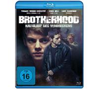 Brotherhood-Kreislauf des Verbrechens (Blu-ray) Brodie-Sangster Thomas Kleintank