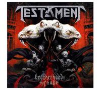 Brotherhood of The Snake