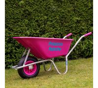 Brouette Brouette De Jardin Brouette De Cour Rose Proseccokutsche 100L 250KG