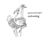 Broughton, David Thomas - Outbreeding [Import]