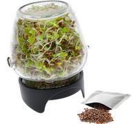 Browin®745747 Germoir en verre, pratique et facile à utiliser pour cultiver des germes sains