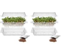 Browin 745748 Plateau de Germes + Graines de Radis, Kit Complet pour Faire Pousser des Germes à la Maison Transparent 18,5 x 12,5 cm (Lot de 2)