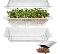 Browin 745748 Plateau de Germes + Graines de Radis, Kit Complet pour Faire Pousser des Germes à la Maison Transparent 18,5 x 12,5 cm