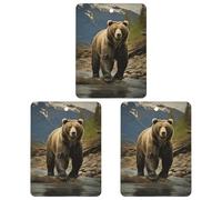Brown Bear Lot de 3 feuilles d'encens carrées parfumées à suspendre pour voiture, maison, voiture