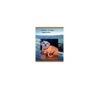 brown Dog Of Knysna