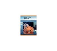 brown Dog Of Knysna