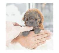 (Brown)My Realistic Robot Puppy Electronic Interactive Pet Dog Cute Gifts Toys for Girls Kids