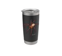 Brown Recluse Araignée Loxosceles Reclusa Gobelet isotherme en acier inoxydable double paroi