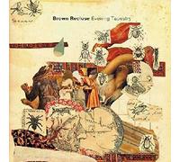 Brown Recluse - Evening Tapestry