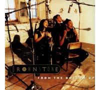 BROWNSTONE - Funkig Grooviger 90s R+B Klassiker (CD Debut Album von Brownstone, 12 Titel) if you love me , grapevyne , i can't tell you why , pass the lovin , true to me u.a.