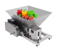 Broyeur à fruits électrique - 60 W - Avec transmission - 20 kg/h - 4 l - 1600 tr/min - Couvercle de protection en plastique - Argenté