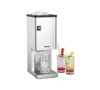 Broyeur de glace 300 60 kg/h