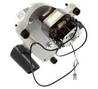 Broyeur du moulin à café - DELONGHI - Cafetière, Expresso - Gris - Compatible avec grains de café