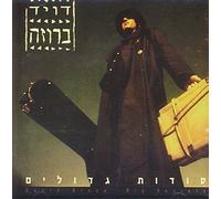 Broza, David - Big Secrets [Import]