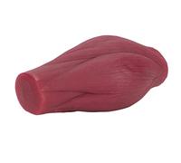 BRRNOO 1 Lb Replica du Modèle Musculaire Humain, Simule les Tissus Musculaires Réels, le Matériel Non Toxique, pour les élèves et les Nutritionnistes, une Texture Réaliste, un Mode de