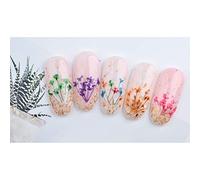 BRRNOO 24pcs 12color Fleur Séchée pour la Décoration de Nail Art Décorations D'ongles Embellissements de L'ongle avec Gypsophile Petite Marguerite Cinq Pétales pour Bricolage (-2)