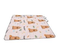 Brrnoo Couverture de Pique-Nique Résistante à l'humidité, Tapis de Pique-Nique Pliable, Portable, épais, Doux, pour Camping, Plage, Parc, Randonnée (200 * 200 cm)