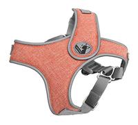 Brrnoo Harnais de Chien et Laisse Réfléchissante - Set Complet pour Animaux de Compagnie - Taille XS, Haute Visibilité, Sécurité Nocturne, Lumières Éclatantes