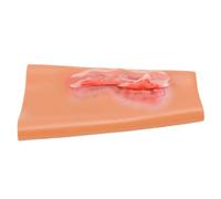 Brrnoo Modèle de Traumatisme du Bras en Silicone, Plaie par Abrasion