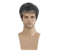 BRRNOO Perruques pour Hommes, Perruques pour Hommes pour avec Boucle élastique à la Mode Perruque Courte Moelleuse M26 pour Perruque de Festival de Carnavals, Mode de Fête pour Courts