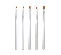BRRNOO Pinceaux à Ongles, Pinceaux à Ongles Brosse à avec enfermé dans un Tube Transparent de Protection 5 Pièces Pinceau à, Argent pour une Utilisation en Salon de Bricolage à Domicile