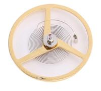Brrnoo Régulateur de Mouvement de Balancier de Montre, Outil de Réparation de Montre, Alliage Léger et Compact fabriqué avec Un Savoir-Faire Exquis pour Les Horlogers Professionne