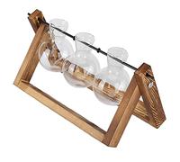 Brrnoo Terrarium Végétal élégant avec Support en Bois et Vases en Verre, Idéal pour la Décoration et Les Compositions Florales, Design à 2 Bouteilles (Casier rétro + Trois Bouteilles)