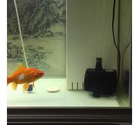 Brrnoo USB Miniature sans Balais avec Débit de 150 L en Acier Inoxydable, Idéal pour les Aquariums et la Culture Hydroponique