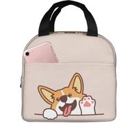 BRTOLIIAO Boîte à déjeuner isolée avec un petit sac Bento réutilisable et un sac à repas réutilisable pour le pique-des devoirs