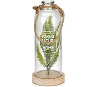 BRUBAKER Bouteille lumineuse 31 cm avec fougère et 10 lumières LED à suspendre