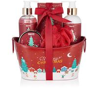 BRUBAKER Cosmetics - Coffret de bain & douche - Baies d'hiver/Joyeux Noël - 6 Pièces - Bassine vintage décorative - Idée cadeau Femme & Homme