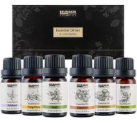 BRUBAKER Set de 6 huiles essentielles d'aromathérapie 6 x 10 ml Naturel - Patchouli Sauge Ylang-Ylang Cardamome Argan Arbre à thé - Huile parfumée pour diffuseur