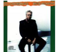 Bruce Cockburn - Big Circumstance