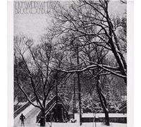Bruce Cockburn High Winds White Sky (CD) Album