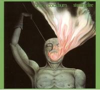 Bruce Cockburn - Stealing Fire (Deluxe Edition) by Bruce Cockburn (2003) Audio CD