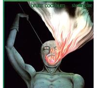Bruce Cockburn – Stealing Fire – Album vinyle 12" spécial – True North