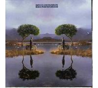 Bruce Dickinson - Skunk Works