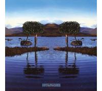 Bruce Dickinson - Skunkworks [Vinyl] 180 Gram