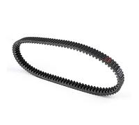 Bruce & Shark Courroie d'entraînement 3211106/3211130/3211161 adaptée pour Polaris Ranger XP 700 05-07 Sportsman/RZR/S 800 Sportsman X2 800