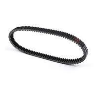 Bruce & Shark Courroie d'entraînement 3211143/3211169 adaptée pour Polaris Ranger RZR 570 13-16 Ace 570 Ranger 500 Crew XP RZR