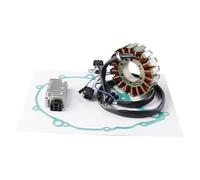 Bruce & Shark Rearset Rear Set pour Triumph Speed Triple 1050 2005-2010 Gold