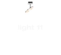 Bruck Euclid Spot LED pour Duolare Rail chrome brillant Ce luminaire comporte des modules à LED prémontés de classes énergétiques A A++, A+, A