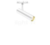 Bruck Swap Spot LED pour All-in Rail blanc/doré - 30° Ce luminaire comporte des modules à LED prémontés de classes énergétiques A A++, A+, A