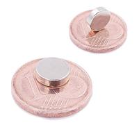 Brudazon | 10 Mini Aimants Disques 7x2mm | N52 niveau le plus forte - Aimants en néodyme ultra fortes | Aimant de puissance pour modélisme, photo, tableau blanc | Disque extra forte